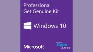 Windows professional 10 single olp nl legalization getgenuine wcoa что это