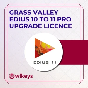 EDIUS 11 Pro Personal Upgrade from EDIUS X Pro Personal for India – Digital Delivery