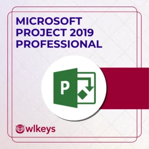 Microsoft Project 2019 Professional 1 PC