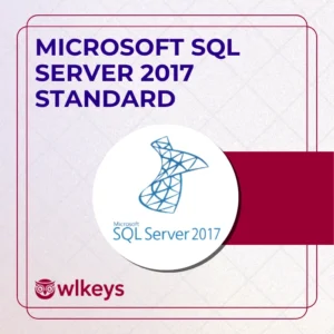 Microsoft SQL Server 2017 Standard – License