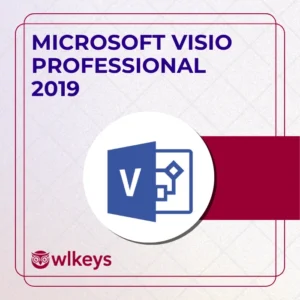 Microsoft Visio Professional 2019 For Windows PC