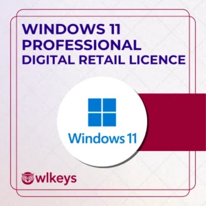 Microsoft Windows 11 Professional Digital Retail Licence (ESD)